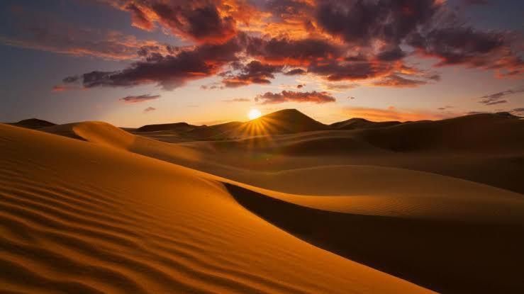 Golden Sandstone Hotel Desert Safari Campジャイサルメール エクステリア 写真
