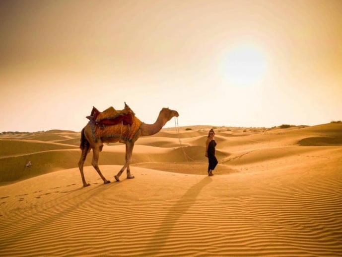 Golden Sandstone Hotel Desert Safari Campジャイサルメール エクステリア 写真